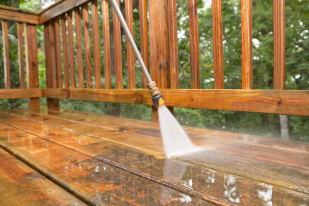 Best Gutter Cleaning in East Pasadena, CA