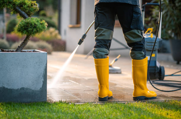 Best Soft Washing in East Pasadena, CA